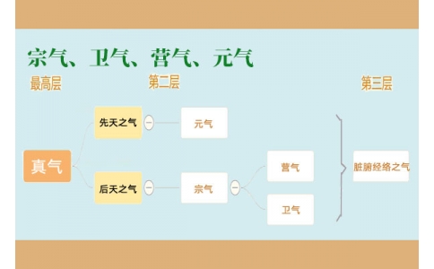 中醫(yī)里的“宗氣”、“衛(wèi)氣”、“營氣”、“元氣”